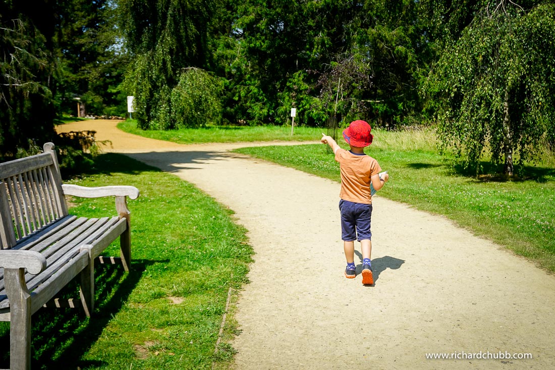 Hillier Gardens Hampshire – A Family Day Out