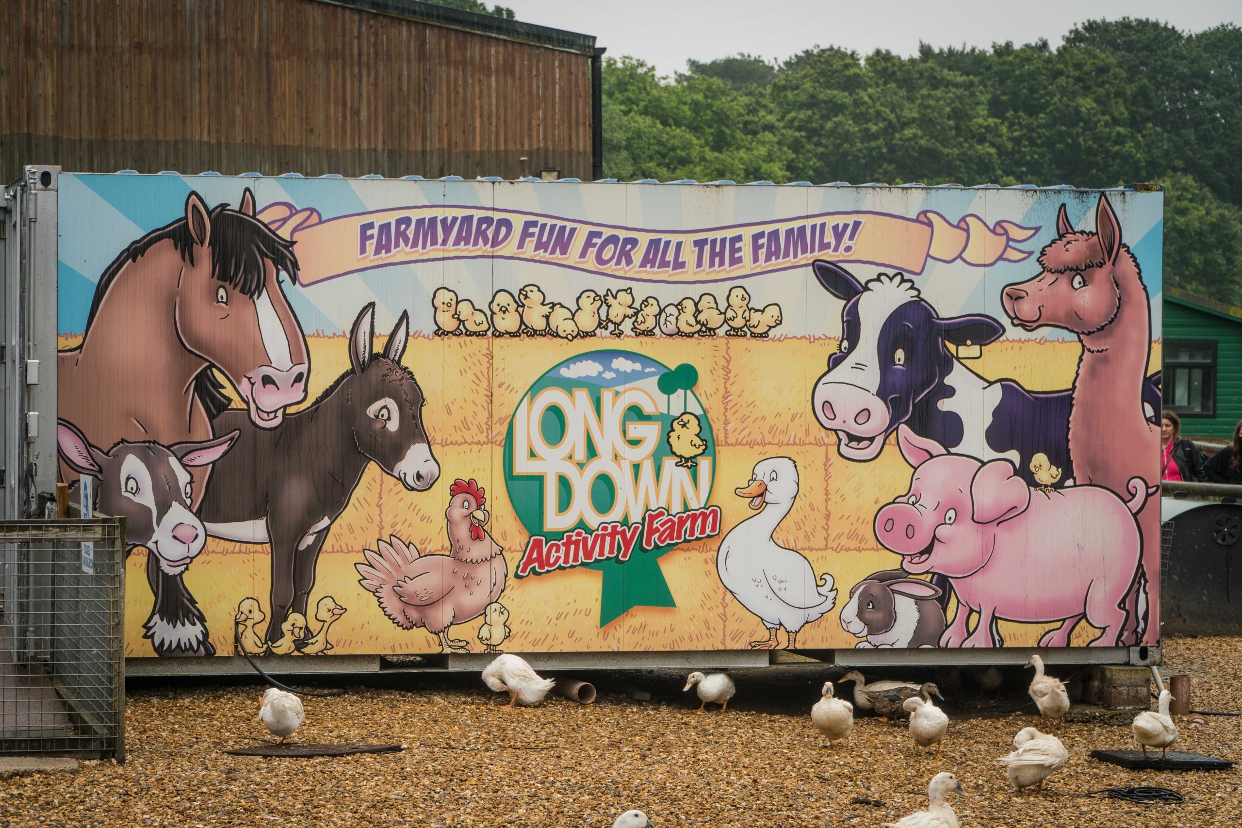Longdown Activity Farm – A Complete Tour