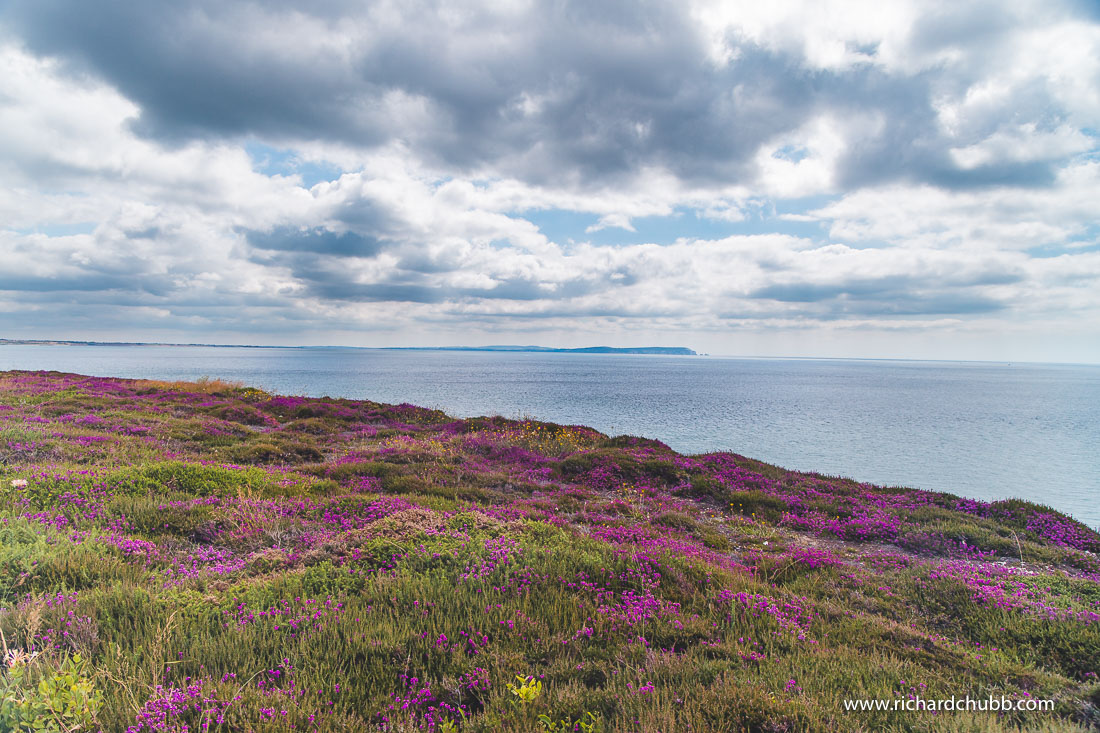 Hengistbury Head All you need to know Easy Hike Great Views