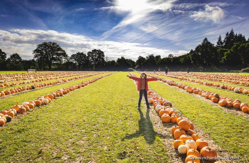 Pumpkin Picking in Hampshire – New Forest’s Sunnyfields Farm
